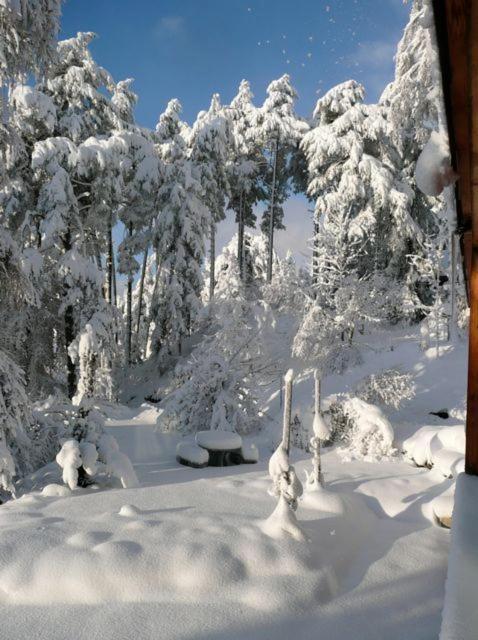 Pension Casa Selva Trin Екстер'єр фото