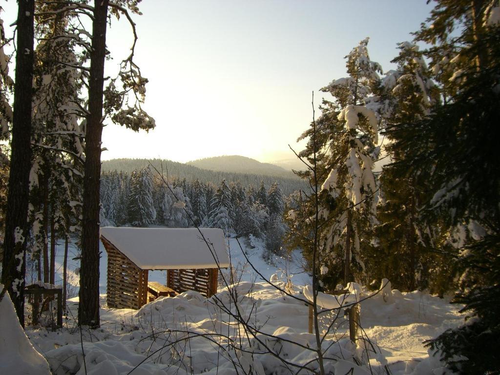 Pension Casa Selva Trin Екстер'єр фото