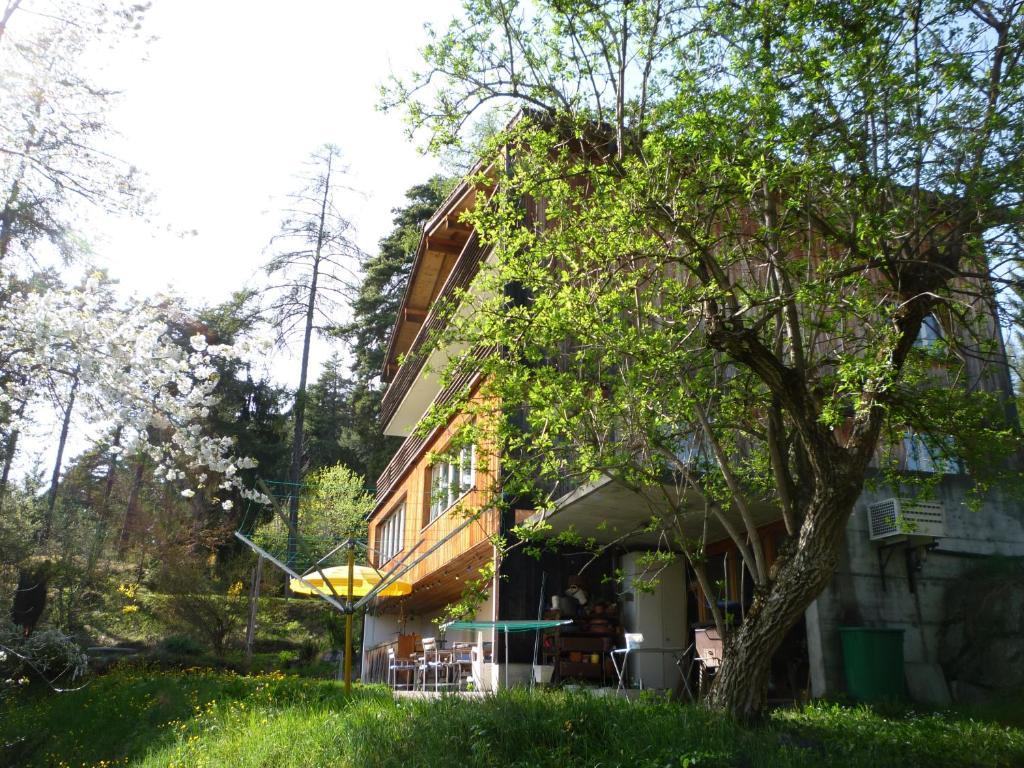 Pension Casa Selva Trin Екстер'єр фото