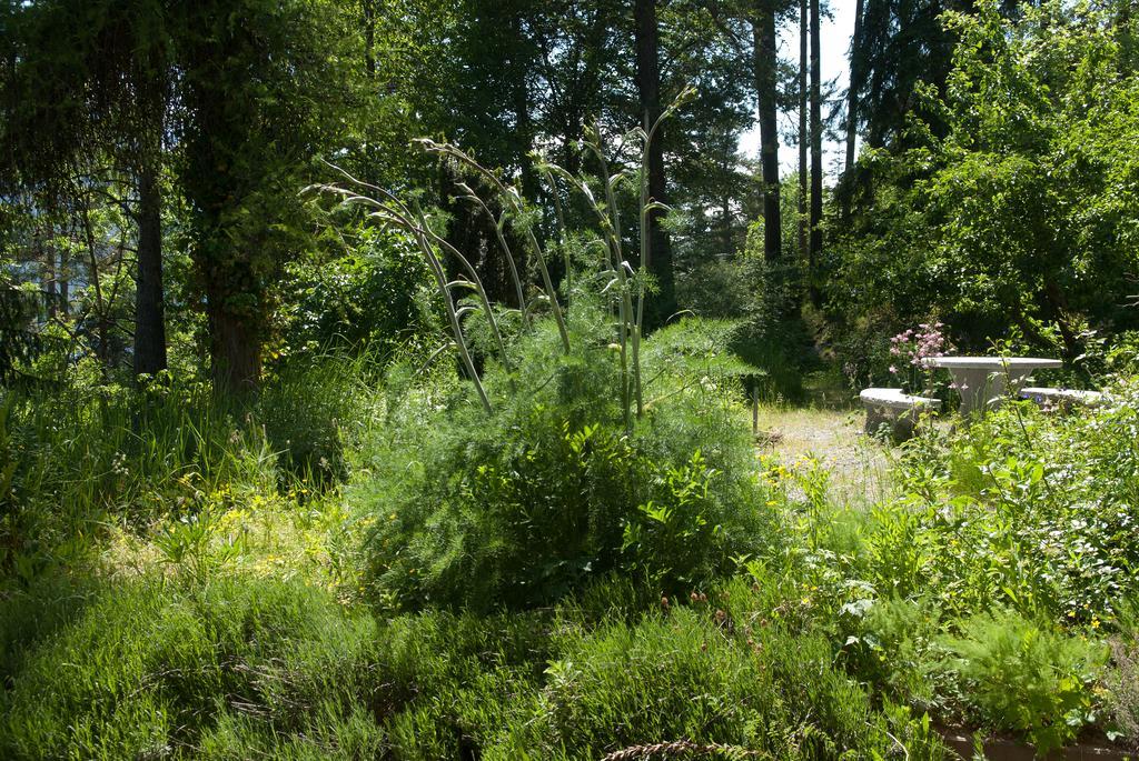 Pension Casa Selva Trin Екстер'єр фото
